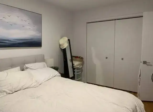 3 1/2 Plateau Mont Royal Ensoleillé ! - Photo 2