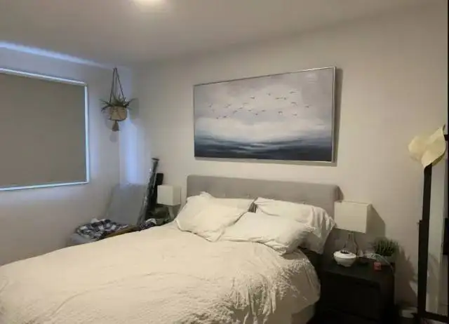 3 1/2 Plateau Mont Royal Ensoleillé ! - Photo 3