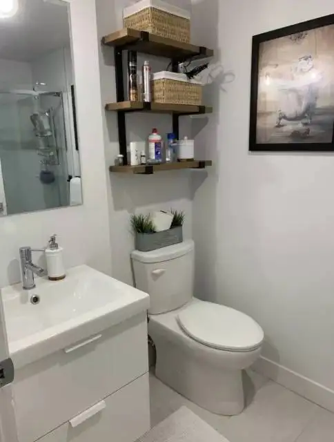 3 1/2 Plateau Mont Royal Ensoleillé ! - Photo 4