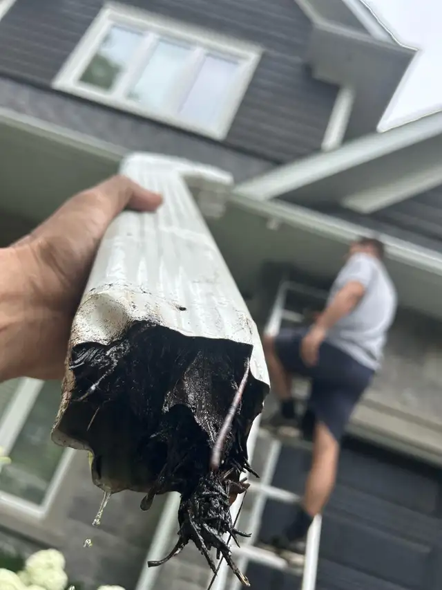 WINDOW CLEANING • GUTTER CLEANING • POWER WASHING - Photo 5