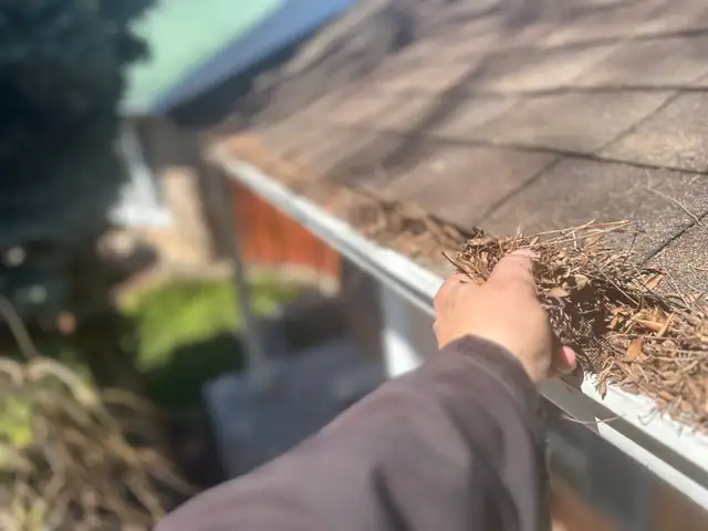 WINDOW CLEANING • GUTTER CLEANING • POWER WASHING - Photo 6