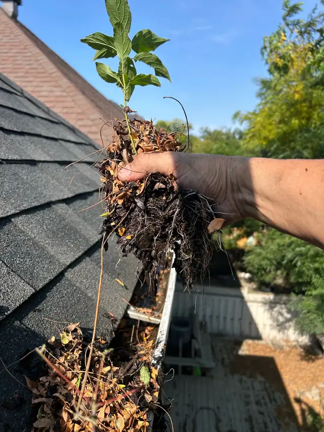 WINDOW CLEANING • GUTTER CLEANING • POWER WASHING - Photo 7