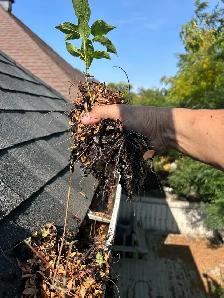 WINDOW CLEANING • GUTTER CLEANING • POWER WASHING - Photo 7