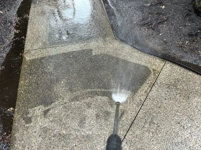 WINDOW CLEANING • GUTTER CLEANING • POWER WASHING - Photo 8