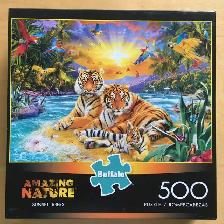 PIÈCES MANQUANTES- Casse-têtes /Puzzles (10 CT) – 500 pièces(K1)