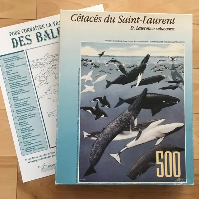 PIÈCES MANQUANTES- Casse-têtes /Puzzles (10 CT) – 500 pièces(K1) - Photo 7