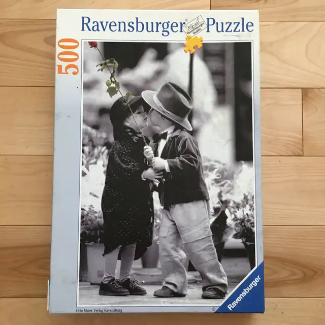 PIÈCES MANQUANTES - Casse-têtes (10 CT) – 500 pièces (K2) - Photo 6