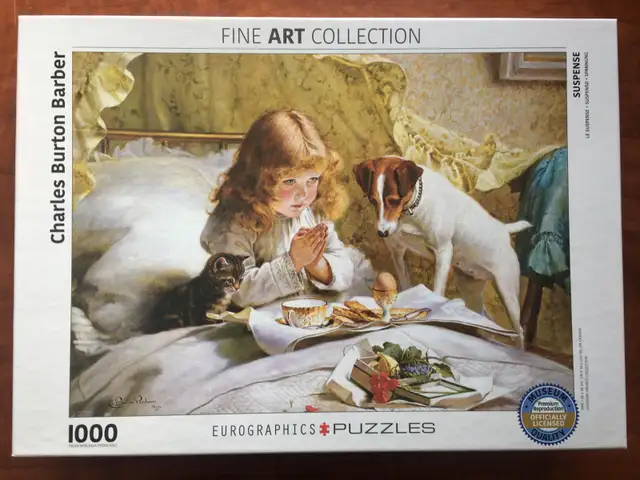 50% du prix inscrit - PIÈCES MANQUANTES - Casse-têtes – 1000 piè