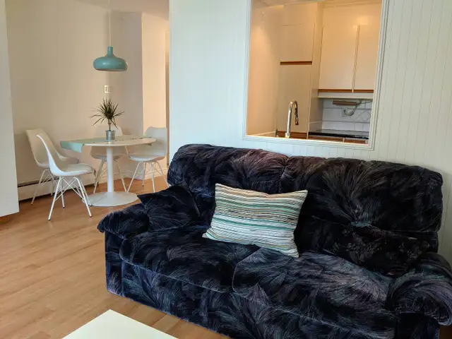 Appartement 3 1//2 entièrement meublés. Tout inclus. Limoilou - Photo 3