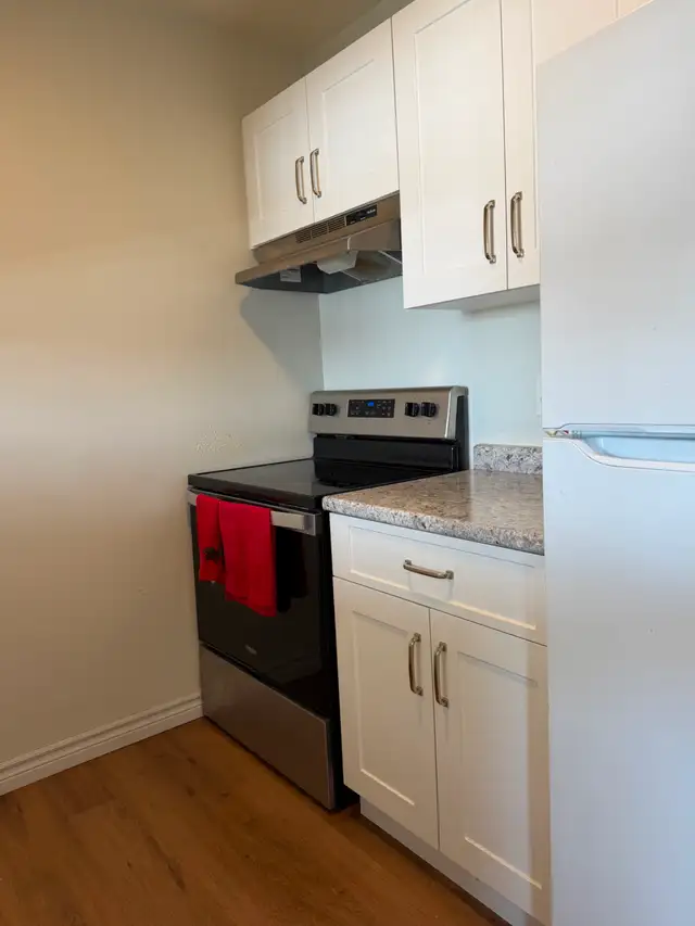 ATTENTION TRENT STUDENTS – 3 Bdrm - Prime Reid St Location - Photo 4