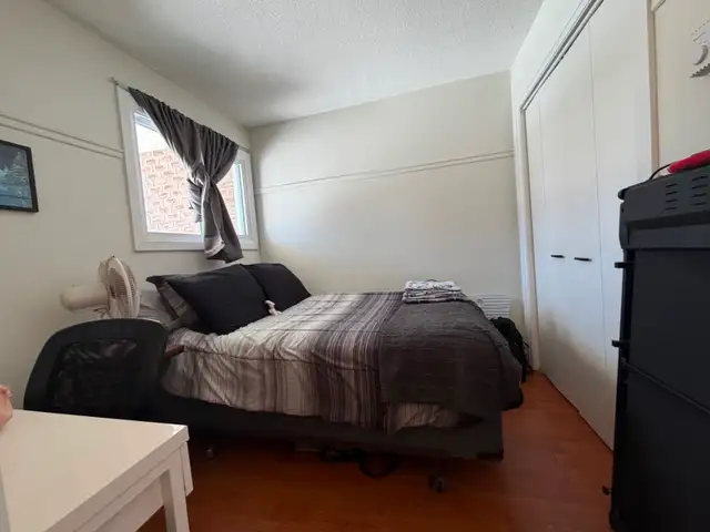 ATTENTION TRENT STUDENTS – 3 Bdrm - Prime Reid St Location - Photo 7