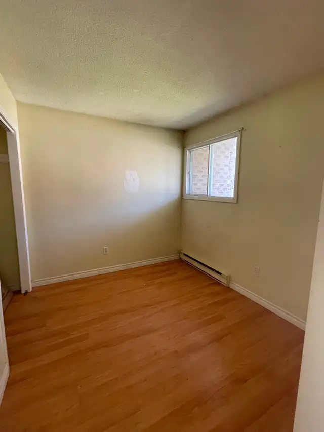 ATTENTION TRENT STUDENTS – 3 Bdrm - Prime Reid St Location - Photo 8