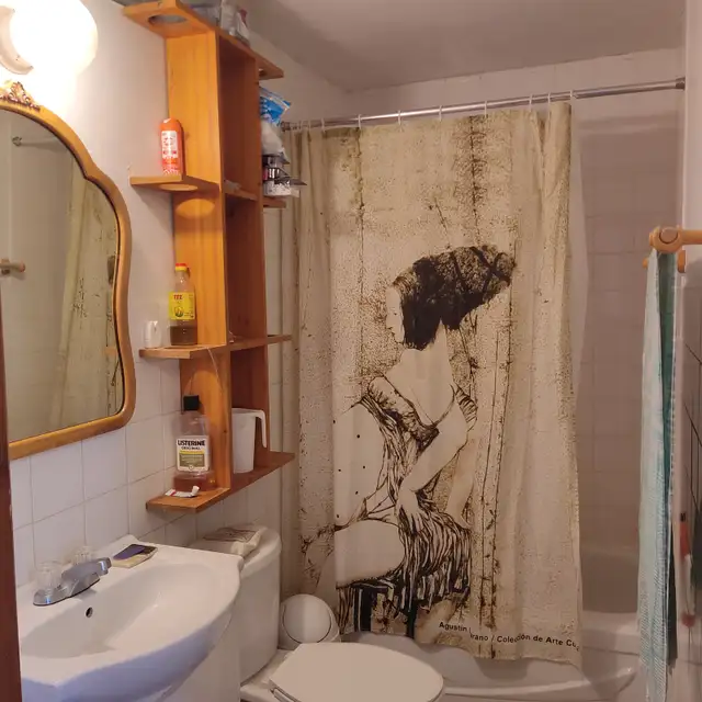 Mile End/Plateau 3.5 sublet long term $1300 laundry and balcony - Photo 9