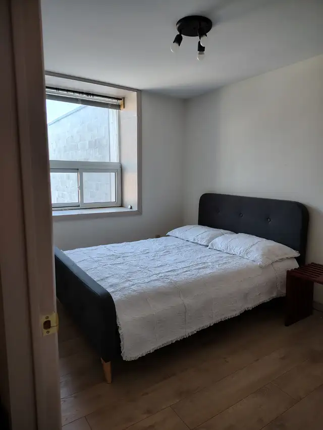 One bedroom with den downtown Kingston - Photo 7