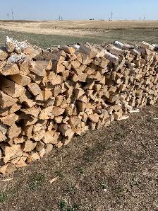 Best Priced Birch/ Free Delivery