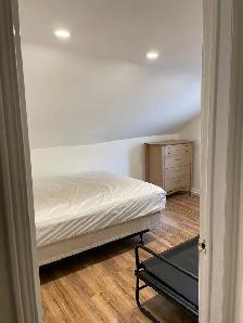 5-Bedroom Student Apartment in Kensington Market!