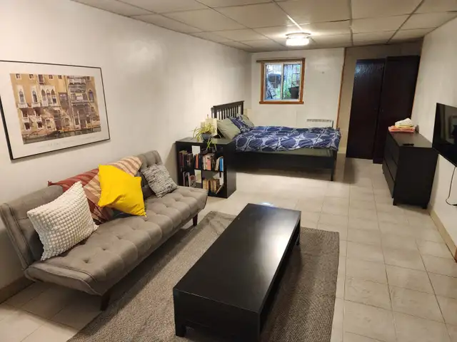 1 100$ Studio Métro Fabre Ligne Bleu.