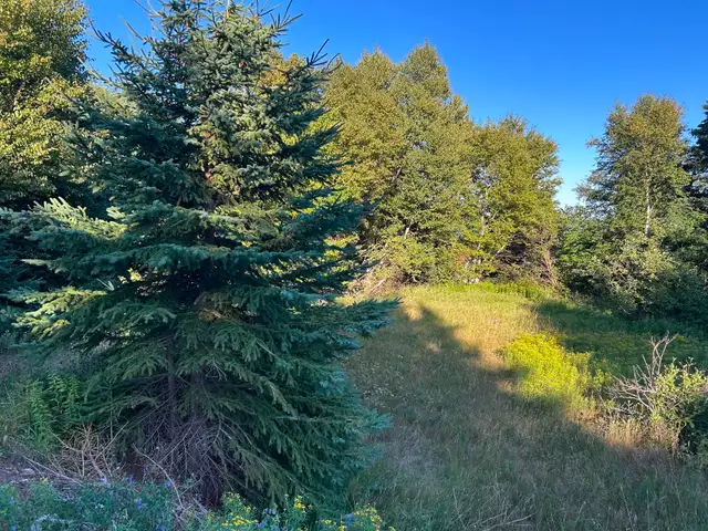 Land- Main Rd, Victoria Cove