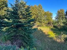 Land- Main Rd, Victoria Cove