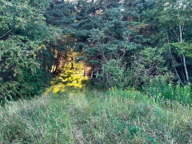 Land- Main Rd, Victoria Cove - Photo 3