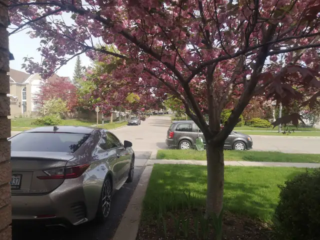 room with private washroom for rent(male only) - Photo 9