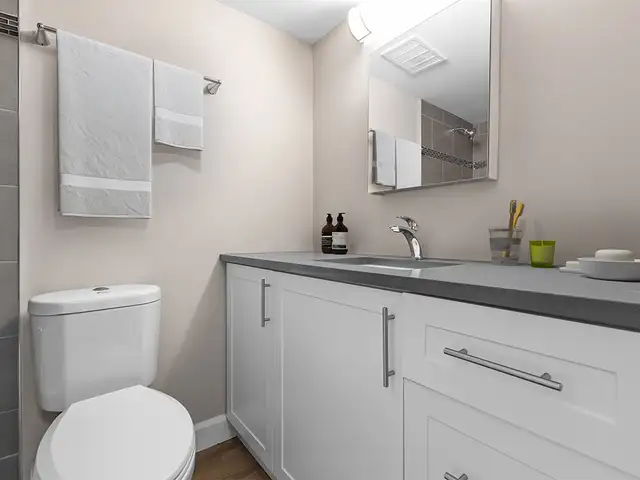 Apartment for Rent: 1 Bedroom A - Parkway Towers - Photo 9