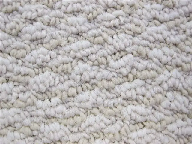 CARPET SPECIALS$2 - Photo 3