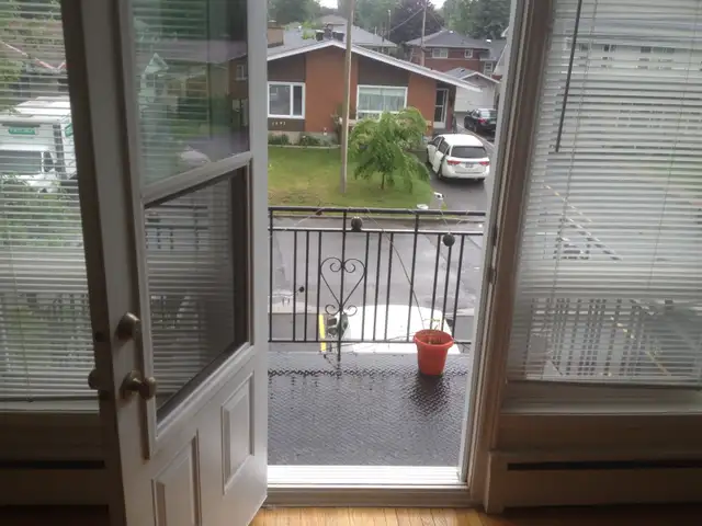 MAY/JUNE -ALTA VISTA  large 3 bed,walking to General Hospital - Photo 8