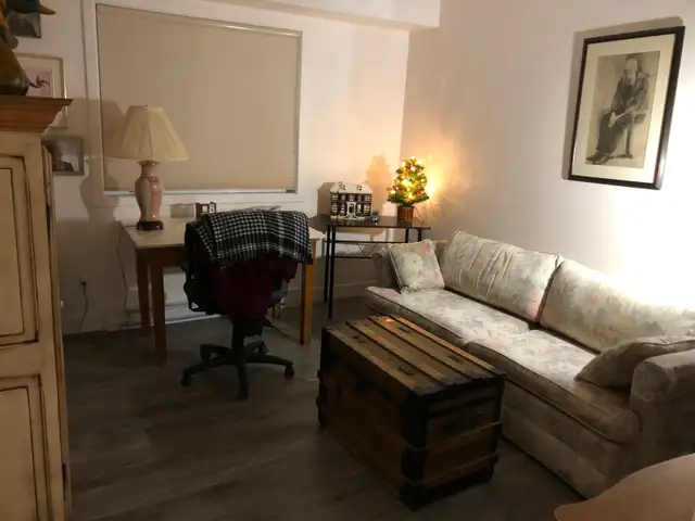 Appartement 4 1/2 au RDC à louer STYLE CONDO avec GARAGE - Photo 10