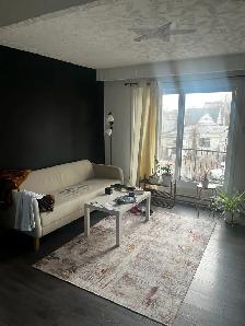 3 1/2 beau et ensoleillé près du Métro Longueul