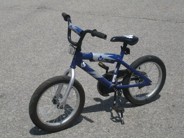 IT'S A BOY'S LEAF FAN ALMOST NEW 16' TORONTO MAPLE LEAF BIKE! - Photo 2