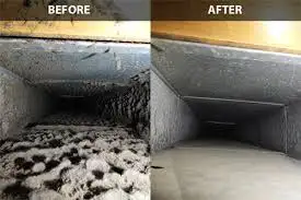 cleaning nettoyage tapis sofas vitres conduits secheuse dryer - Photo 6