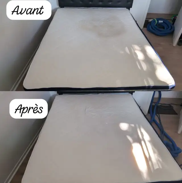 cleaning nettoyage tapis sofas vitres conduits secheuse dryer - Photo 8