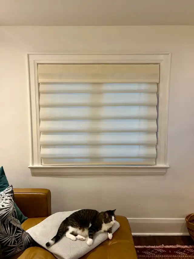 DON’T OVERPAY! WHOLESALE PRICES FOR BLINDS SHUTTERS SHADES! - Photo 6