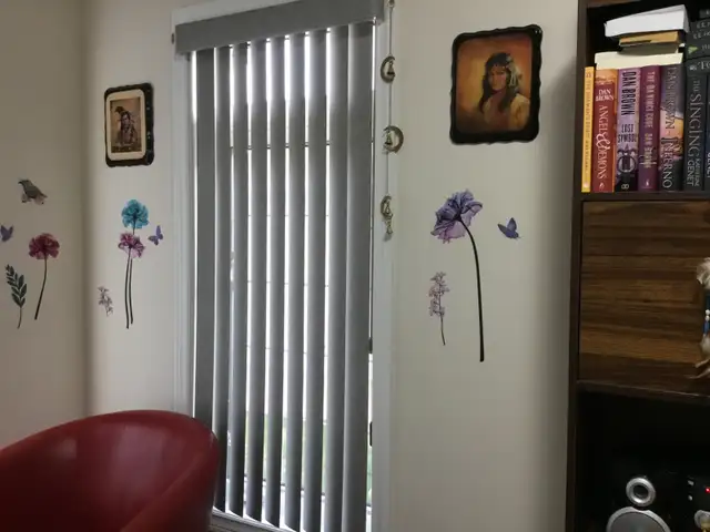 HUNTER DOUGLAS VERTICAL BLINDS FOR SALE - Photo 2