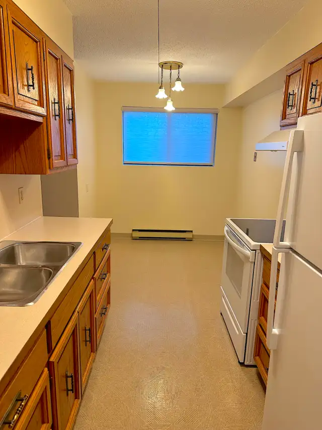 NOW AVAILABLE - Photo 4