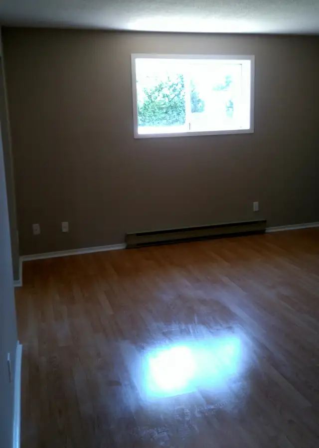 GRAND 2 CHAMBRES DUPLEX 1er MAI - Photo 6