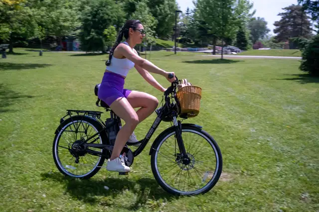 The Paris Ebike - HUGE SALE!