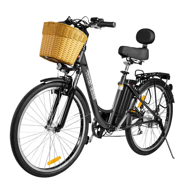 The Paris Ebike - HUGE SALE! - Photo 2