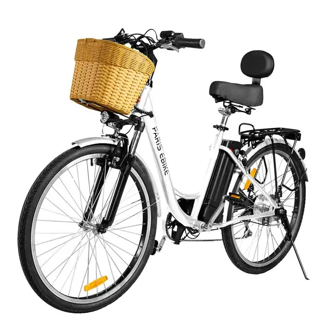 The Paris Ebike - HUGE SALE! - Photo 3