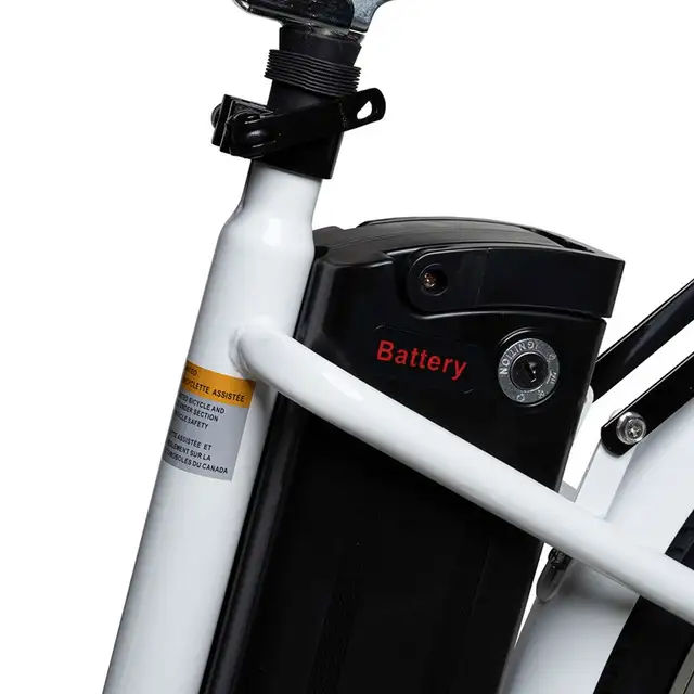 The Paris Ebike - HUGE SALE! - Photo 6