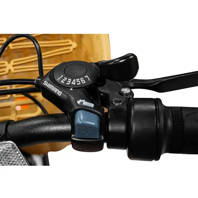 The Paris Ebike - HUGE SALE! - Photo 8