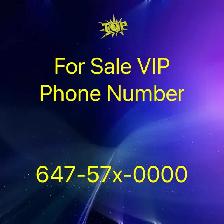 Best selection of VIP phone Numbers 416,647,905,437 AreaCode