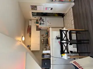 Annex Bright 2Bdrm/Deck on Palmerston Blvd June 1st - Photo 10