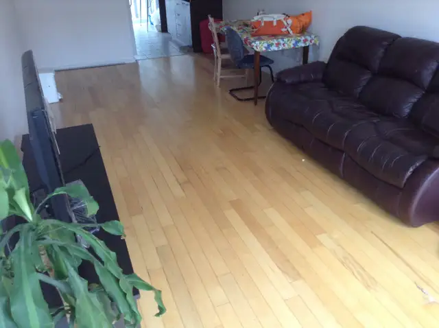 Renovated 5 1/2 NDG 1019 ft2 with indoor parking, avail Jul/Jun - Photo 3