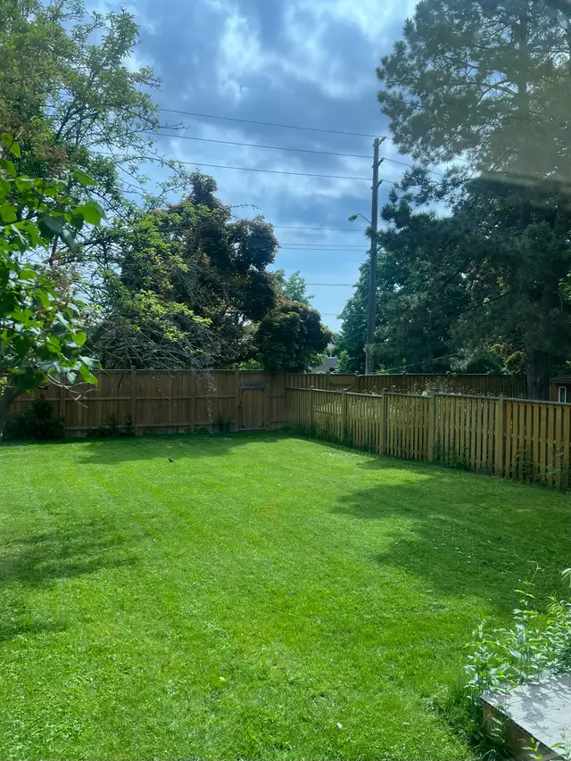 Spacious room for rent in Scarborough - Photo 6