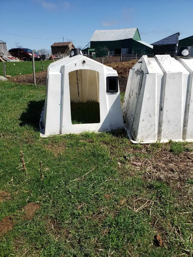 calf  hutches for sale - Photo 3