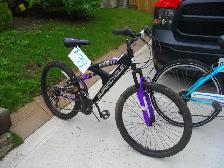 adult mountain bike