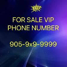 Say Yes! To an easy to remember phone number! 416,647,905,437