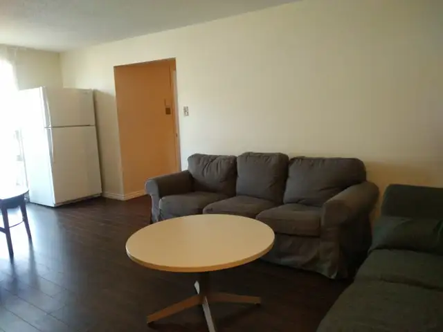 Larger Private Room Summer Sublet - Photo 3